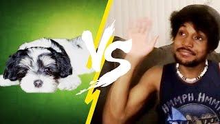 MAN VS DOG  CKADay 11 [upl. by Nolubez65]