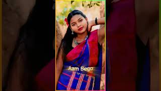 Aam Begar noyamone khali khali ge bujhao santali status video 🥰❤️ [upl. by Netty]