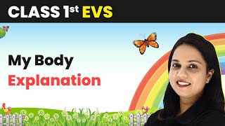 Class 1 EVS  My Body  Explanation [upl. by Browne]