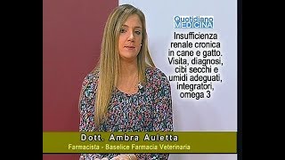 Insufficienza renale cronica in cane e gatto Cibi adeguati integratori omega 3 [upl. by Dora]