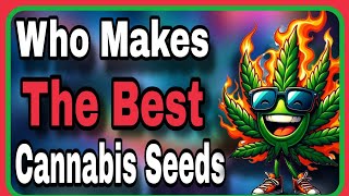 Quest For The Best Cannabis Strain Fanatic Solfire Gardens [upl. by Mcdonald525]