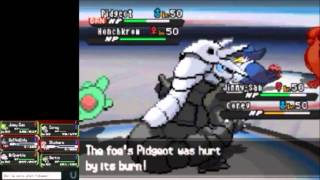 Johto Leader Falkner Triple Battle Full Team  World Tournament  Pokemon Black 2 amp White 2 [upl. by Peih402]