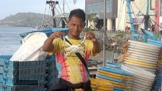 Sandakan Fish Market and Harbor Malaysia [upl. by Willin]