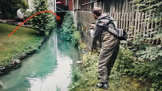 Große Fische stehen an verborgenen Stellen  Angeln in Minigewässern [upl. by Eilac696]