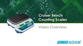 Cruiser CCT Bench Counting Scale Overview [upl. by Ellord]