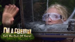 Helmets of Hell Challenge Gets All Too Much For Lady C  Im A Celebrity Get Me Out Of Here [upl. by Meredithe]