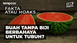 Buah Tanpa Biji Berdampak Bagi Kesehatan  Cek Fakta Tempo [upl. by Sitruc]