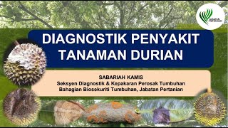 DIAGNOSTIK PENYAKIT TANAMAN DURIAN [upl. by Lahcear535]