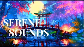 Best Relaxing amp Soothing Melodies amp Classical Music – For RELAX STUDY SLEEP amp WORK 62 [upl. by Niall811]