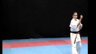 SMAC Dojo Training Video Pinan Nidan [upl. by Chirlin48]