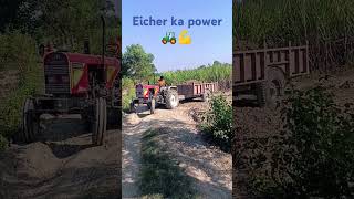 Eicher ka power 🚜💪 pora Fula ploafarming songpunjabi [upl. by Walli]