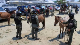 Decomiso de carretas haladas por caballos [upl. by Llertnad]