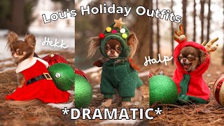 Dog Tries On Holiday Outfits CHAOTIC [upl. by Idas355]