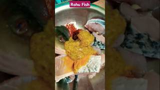 Rohu Fish Marination fish shorts shortvideo shortfeed youtubeshorts machli rohufishrecipe [upl. by Arual]