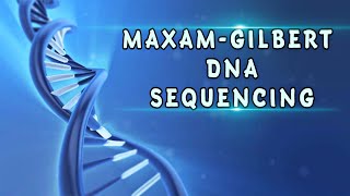 Maxam amp Gilbert DNA Sequencing। Chemical degradation method। Detail video in Hindi [upl. by Haimorej781]