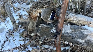 Waterfowling with a Flintlock Fowler [upl. by Coats]