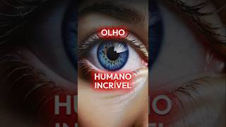 👁️✨ Olhos Humanos Janelas Para o Mundo ✨👁️curiosidades olhos visão corpoHumano ciência [upl. by Wendi]