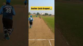 Another catch dropped from curly haired fielder embarrased fielder keeper angry funny cricket [upl. by Kask]