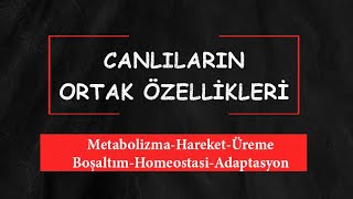 Canlıların Ortak Özellikleri 2 [upl. by Lac751]