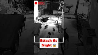 Attack At Night 😱  Rabies Infection ​minivlog [upl. by Canning]