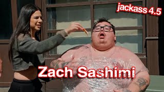 Zach Sashimi Jackass 45 Segment Breakdown [upl. by Hanzelin870]