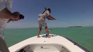 Fly Fishing Big Tarpon Jumping [upl. by Bryce559]