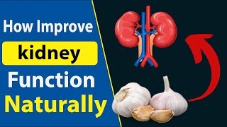 Improve Kidney Function Naturally Diet and Lifestyle Tip [upl. by Uriisa]