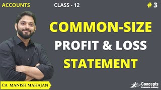 COMMON SIZE Profit and Loss Statement Class 12  Analysis of Financial Statements [upl. by Meingoldas]