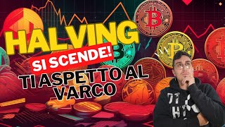 Quale CRYPTO ALTCOIN acquisterò fino all HALVING di BITCOIN SI SCENDE ANCORA [upl. by Healey]