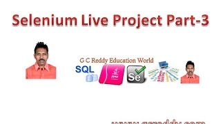 Selenium Live Project Part  3 [upl. by Dewhurst]