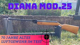 Diana 25 Luftgewehr vs Coladose [upl. by Eignat]