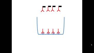 Test Elisa indirect [upl. by Lipinski]