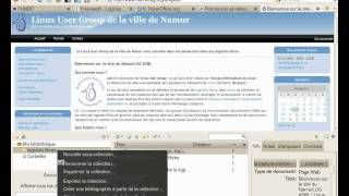 Comment réaliser une bibliographie de ressources web avec Zotero [upl. by Jesh411]