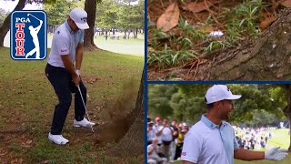 Xander Schauffele cards quadruple bogey from tree root  ZOZO CHAMPIONSHIP 2024 [upl. by Alfonso]