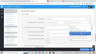 Belçika vizesi başvuru formu hatasız nasıl doldurulur Tüm detaylarıyla [upl. by Ednalrym676]