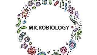 Shigella Microbiology Pathology MBBS [upl. by Akela]