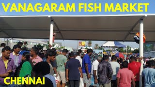 Chennai Vanagaram Fish Market  part 4 [upl. by Onaicilef]