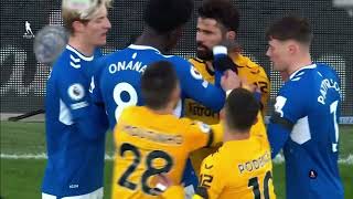 Diego Costa fight vs Everton [upl. by Cinderella688]