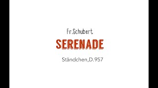 Fr Schubert SERENADE Ständchen D957 accompaniment [upl. by Gamages761]