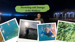 Snorkeling with Dumiya in the Maldives [upl. by Stafani602]