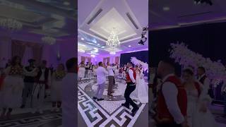 Pipzat 🔥🔥🔥short wedding albania hidajetdervishi dasma event bride studiojeti love [upl. by Walcoff870]