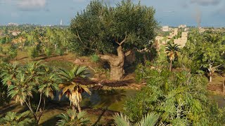 Royal Flora  Assassins Creed Origins  Papyri Puzzle [upl. by Dekeles448]