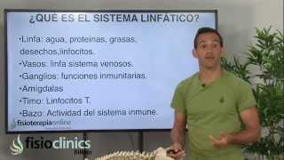 ¿Que es el sistema linfático  Drenaje linfático Bilbao [upl. by Coveney]