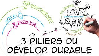 Les 3 piliers du développement durable regard scientifique [upl. by Allerym]