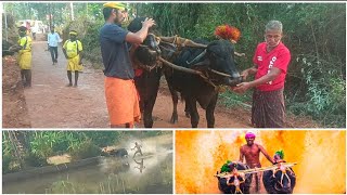 ಕುಂದಾಪುರ ಕಂಬಳ🐂🐂  ಕೆಸರು ಗದ್ದೆ ಕಂಬಳ 🐃ನೋಡಿದ್ದೀರಾ  ಕೆಸರು ಗದ್ದೆ ಅಲ್ಲಿ ಬಿದ್ದರು😧 ಆಟ ಬಿಡುವುದಿಲ್ಲ [upl. by Ydnamron]