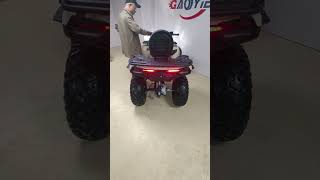 300cc new model 2024 big 42 off road atv quad for adult [upl. by Lugar]