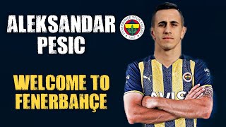 Aleksandar Pesic Welcome To Fenerbahçe  Amazing Skills amp Goals  HD [upl. by Heiner]