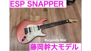 ESP Mikio Fujioka Custom 2018年製 [upl. by Nahsrad]