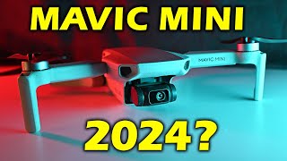 DJI Mavic Mini Worth Buying in 2024  10 things you NEED to Know [upl. by Pacian]