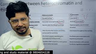 Euchromatin vs heterochromatin  heterochromatin and euchromatin difference [upl. by Ainuj]